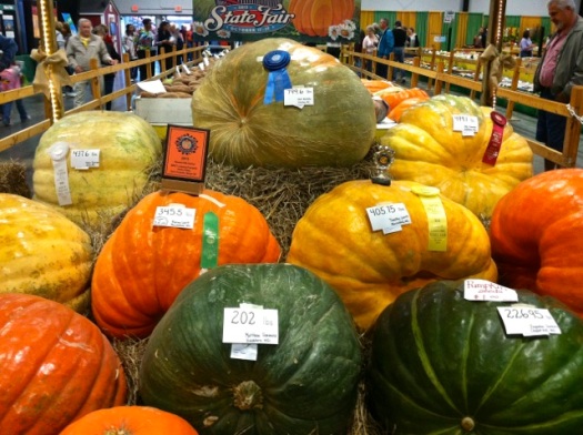 Award winning pumpkins!